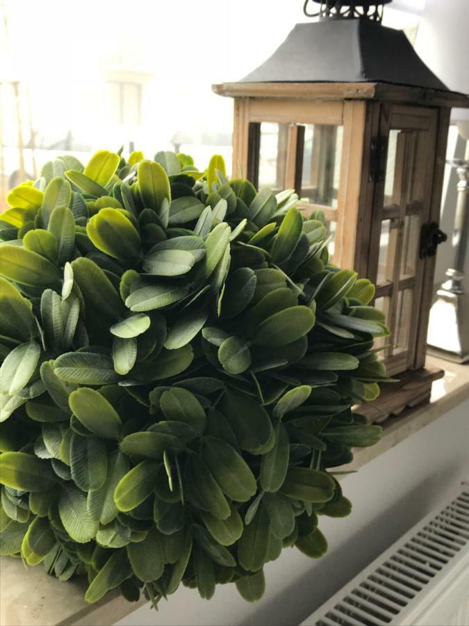 Apartament Stella Park 斯塔加德什切青 外观 照片